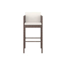 2 Pcs With Cushions Brown Poly Rattan Bar Stools
