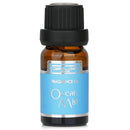 Carroll And Chan Fragrance Oil Ocean Mist 10Ml