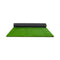 35Mm 1X10 Sqm Artificial Grass Synthetic Turf Roll Gloss