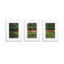 3PCS Wall Hanging Photo Frame Set