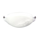 40Cm Glass Ceiling Light With Clips