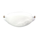 40Cm Glass Ceiling Light With Clips