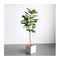 4 Pcs 155 Cm Green Artificial Indoor Qin Yerong Tree