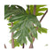 4 Pcs 90 Cm Artificial Natural Green Split Leaf Philodendron Tree