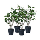 4 Pcs 95Cm Green Artificial Indoor Pocket Money Tree