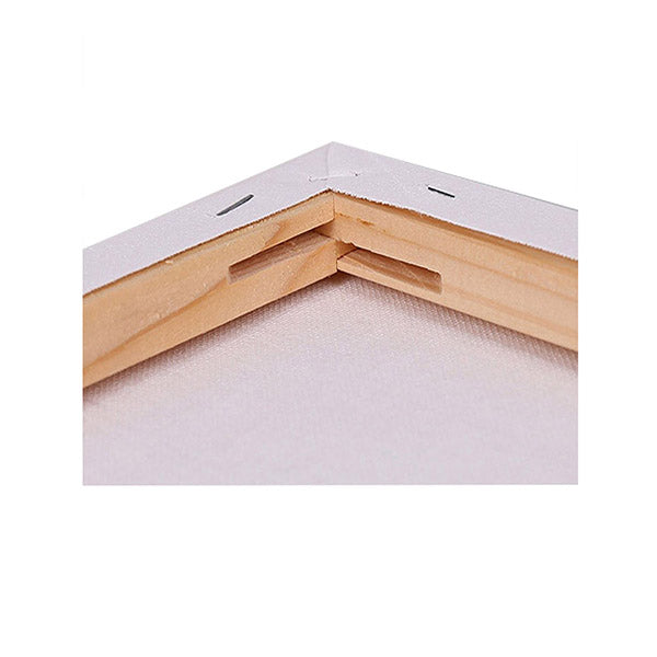 5 Pcs Blank Stretched Canvases Art White Range Oil Acrylic Wood