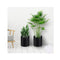 5 Pcs Fabric Plant Pots Root Container