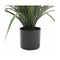 75Cm Potted Artificial Long Grass Yucca Grass Uv Resistant
