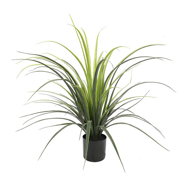 75Cm Potted Artificial Long Grass Yucca Grass Uv Resistant