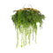 80Cm Imitation Gold Artificial Hanging Green Wall Disc Uv Resistant Foliage