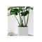80Cm Tripod Flower Pot Plant Stand With White Flowerpot Holder Rack