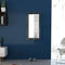 Wall Mirror Baroque Style 100 x 50 Cm Black