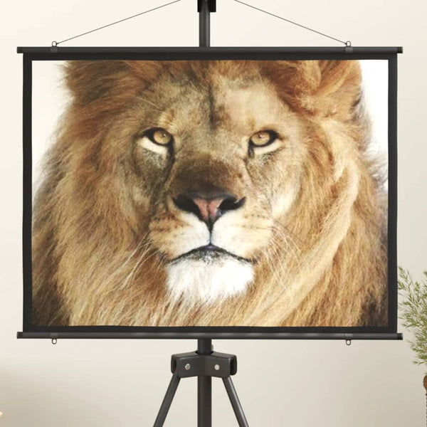 Projection Screen 127 cm