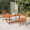 Folding Garden Chairs 2 pcs Solid Wood Eucalyptus