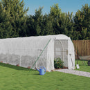 Greenhouse with Steel Frame White 12 m2 6x2x2 m