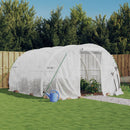 Greenhouse with Steel Frame White 12 m2 4x3x2 m