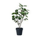 95Cm Green Artificial Indoor Pocket Money Tree