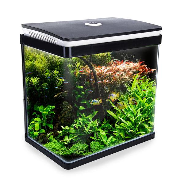 Aquarium Curved Glass RGB LED Fish Tank 30L