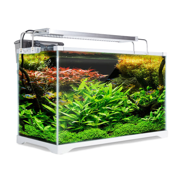 Aquarium Starfire Glass Aquarium Fish Tank 35L