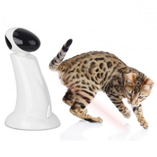 All for Paws Interactive Laser Beam Robot Pointer Toy | Cat Dog Pet, Pet Toys & Supplies, All For Paws - ozdingo