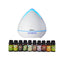 Aromatherapy Diffuser Set With 10 Pack Diffuser Oils Humidifier