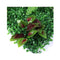 Artificial Hedge Grass Plant Vertical Garden Green Wall Ivy Mat Fence