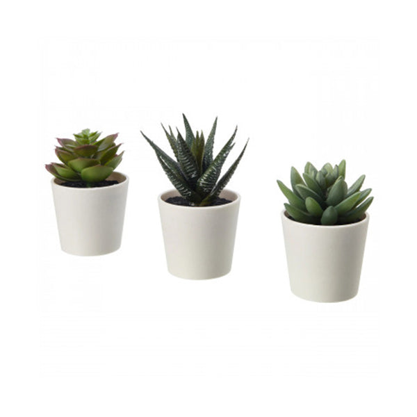3 Pack Of Artificial Succulent Potted Plants White 6Cm Pot Decor