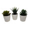 3 Pack Of Artificial Succulent Potted Plants White 6Cm Pot Decor