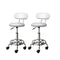 2X Salon Stool Swivel Chair Barber Hairdressing Hydraulic Chrome