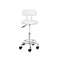 2X Salon Stool Swivel Chair Barber Hairdressing Hydraulic Chrome