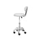 2X Salon Stool Swivel Chair Barber Hairdressing Hydraulic Chrome