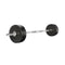Barbell Weight Set Plates Bar Bench Press Fitness Home Gym 168Cm