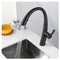 Black Pull Out Kitchen Sink Mixer Tap Swivel Vanity Basin Faucet