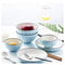 Blue Ceramic Dinnerware Set Of 6