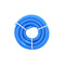 Blue Pool Hose