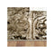 Boston Non Shedding Beige Rug