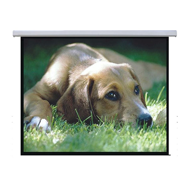 Brateck Auto Lock Manual Projection Screen 72 Inch