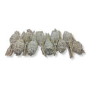 Bulk Organic White Sage Smudge Sticks Mini