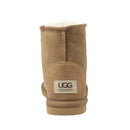 Classic Short UGG Boots Chestnut