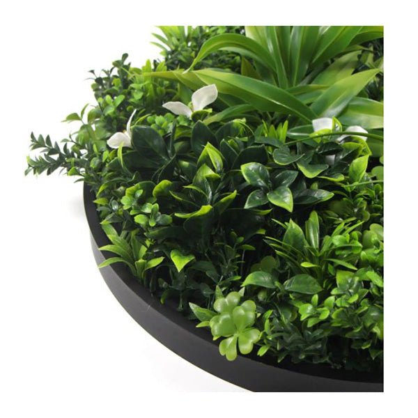 50Cm  Flowering White Artificial Green Wall Disc Black Frame
