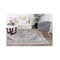 Chesapeake Registan Grey Traditional Soft Rug