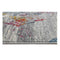 Delicate Multi Grey Oriental Rug