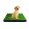 Indoor Dog Toilet Tray For Potty Training
