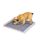 60X60 Cm Charcoal Pet Puppy Dog Toilet Training Pads Ultra Absorbent
