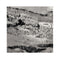 Desire Grey Hallway Runner Rug
