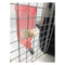 500Ml Dog Cat Hamster Rabbit Water Bottle Hanging Dispenser Feeder