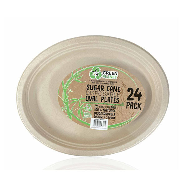 24 Pack Eco Friendly Disposable Party Plates