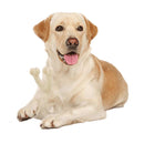 Dog Wish Bone Chew Nylon Puppy Dental Teething Gum Toy Large