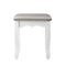 Dressing Stool Makeup Chair Bedroom Vanity