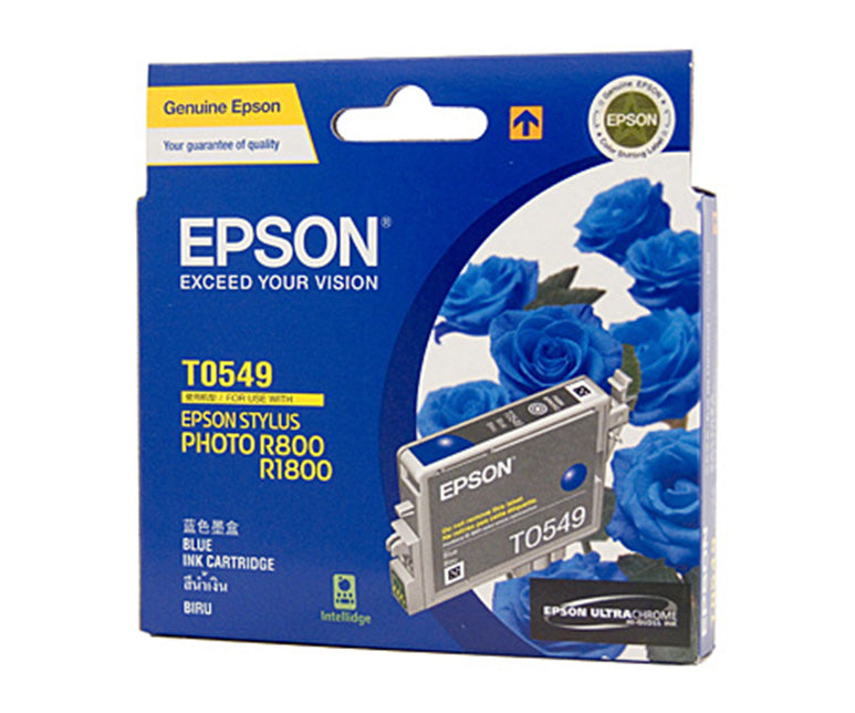 Epson T0541 Ink